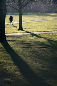 man in lawn beside tree thumbnail