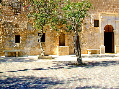 brown concrete building near tree thumbnail