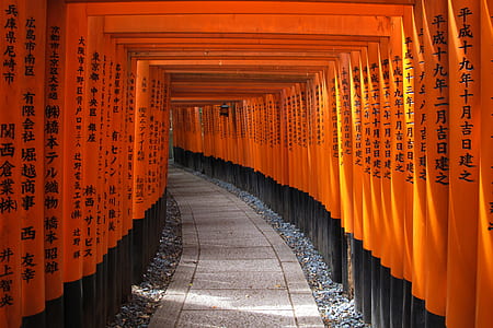 empty concrete pathway under orange tunnel thumbnail