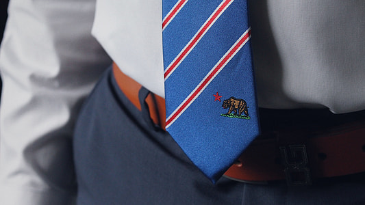 close up photo of person wearing blue and red necktie thumbnail