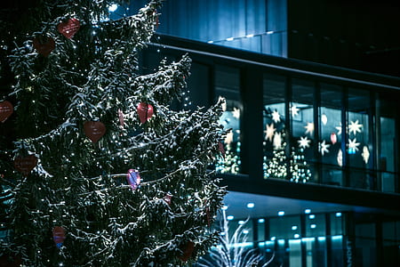 green Christmas tree with baubles near window thumbnail