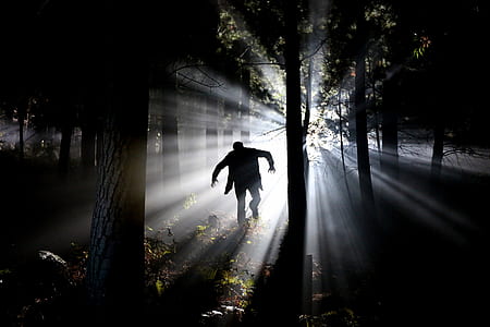 crepuscular light passing through human figure in tree forest thumbnail