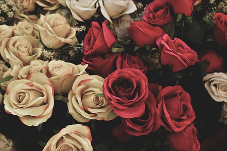 white and red rose bouquet thumbnail