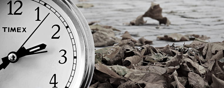 round silver-colored Timex analog watch near brown leaves thumbnail