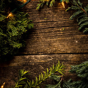 Plants on top of the Wooden Surface thumbnail