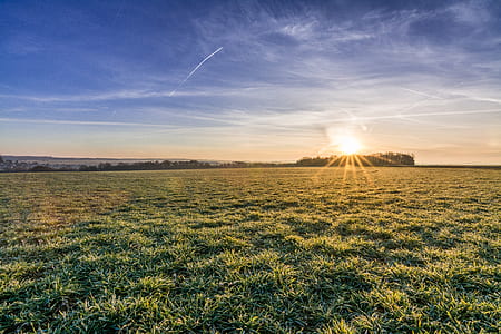 green grass during daytime thumbnail