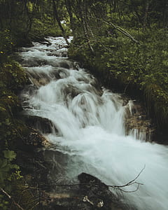 Forest Water Falls thumbnail