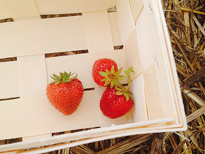 Strawberries, Strawberry Field thumbnail