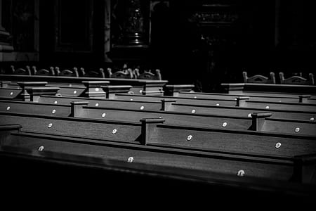 wood, light, black-and-white, dark thumbnail