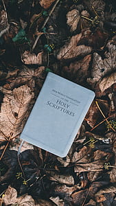 Holy Scriptures book on ground with dried leaves thumbnail