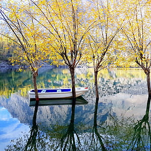 Photography of White and Blue Wooden Boat On Water thumbnail