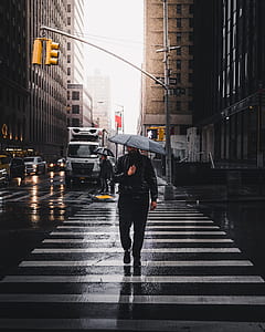 person walking on pedestrian lane while holding umbrella thumbnail