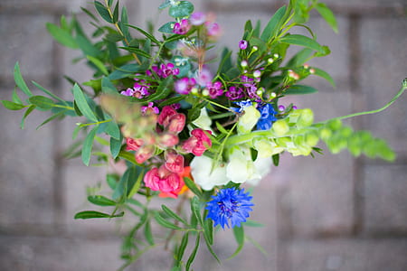shallow focus photography of flowers thumbnail