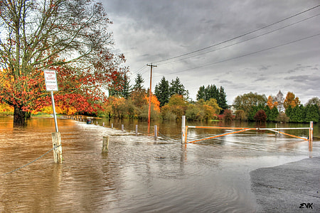 flooded streets under gray sky thumbnail