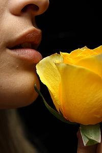 yellow rose near person mouth thumbnail