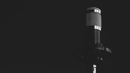 Grayscale Condenser Microphone thumbnail