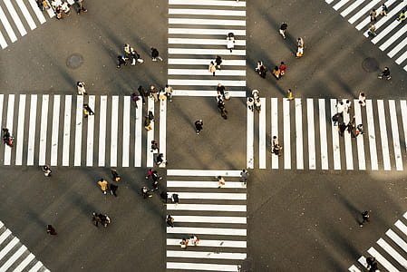 bird's eye view of group of people on pedestrian lane thumbnail