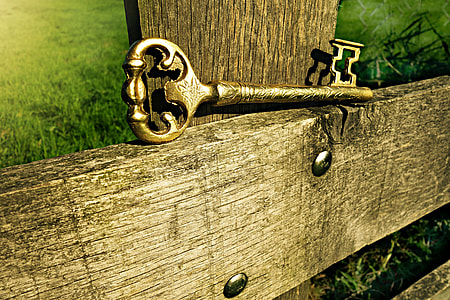selective focus photo of gold skeleton key thumbnail