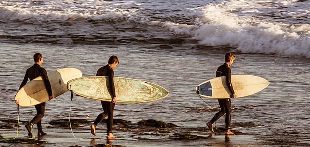 three surfers carrying beige surfboards at beach thumbnail