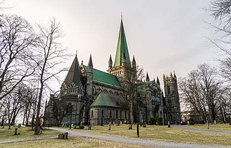 green and brown cathedral building thumbnail