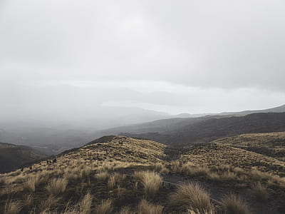 grass on mountains under gray sky thumbnail