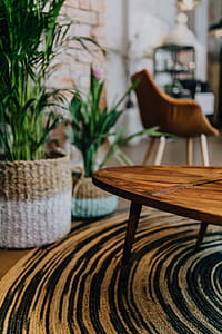 Details of modern interior with green plants thumbnail