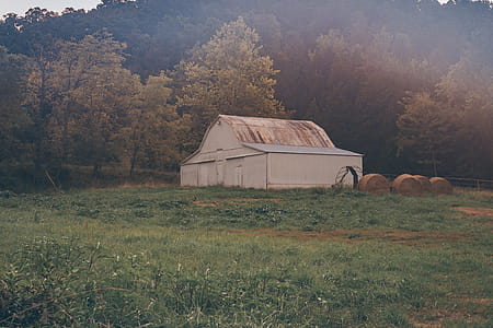 White-painted House on Green Grass Lawn thumbnail