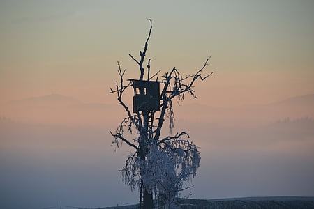 tree house on bareless tree under gray sky thumbnail