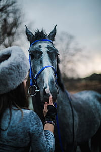 woman holding horse thumbnail