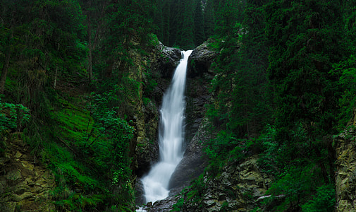 waterfalls surrounded by tress thumbnail