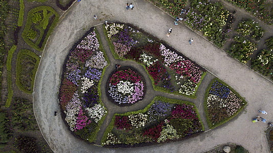 aerial photography of people walking on pathway with flower garden thumbnail
