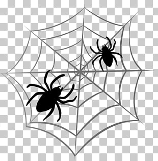 Spider web Halloween , Halloween Spider Web , two black spiders on web advertisement PNG clipart