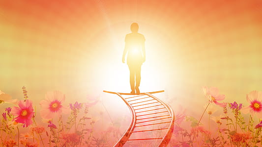 person walking towards sunset thumbnail