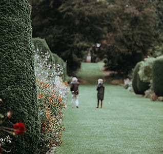 two person walking on garden during daytime thumbnail