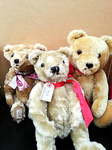 Three Teddy Bears With Price Tags For Sale in a Shop. thumbnail