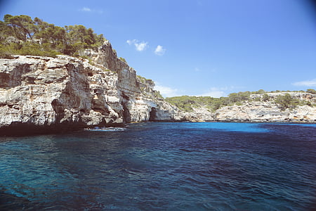green trees on top of gray cliff thumbnail