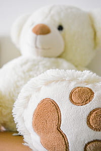 White and Brown Bear Plush Toy Selective Photo thumbnail