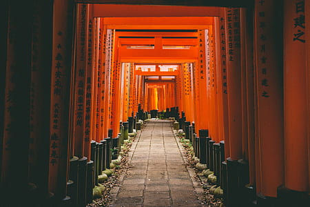 Fushimi Inari-taisha thumbnail