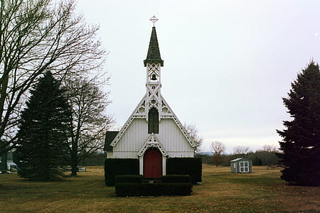 white and black wooden cathedral in between of two green trees thumbnail
