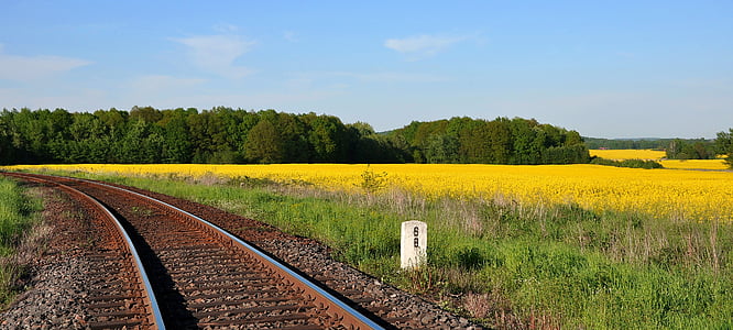 train tracks beside grass thumbnail