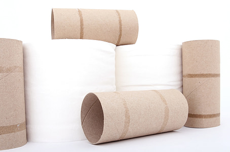 toilet paper and rolls on white surface thumbnail