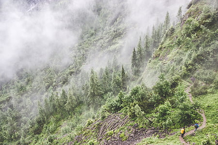 wide angle photo of mountain with trees thumbnail