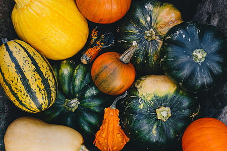 Variety of Pumpkins thumbnail