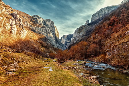 river near yellow grass area thumbnail