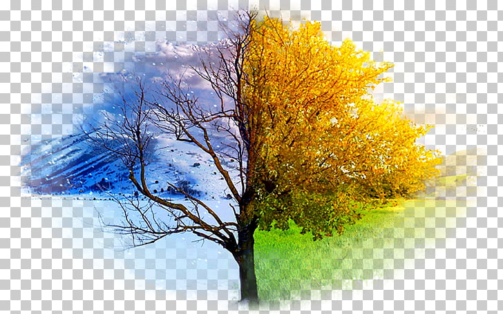 Desktop Winter High Definition Television Autumn Summer