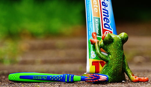 green frog reading toothpaste soft-tube label thumbnail
