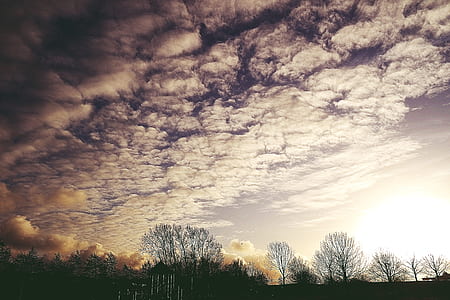 light, dawn, landscape, nature thumbnail