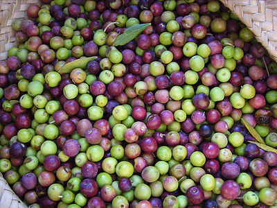 bunch of red and white grapes thumbnail