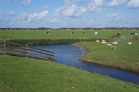 Terschellinger Polder At Groin thumbnail