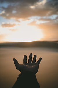 person opening left palm golden hour photography thumbnail